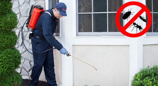 Sarayköy Hamam Böceği İlaçlama böcek ilaçlama ve haşere kontrolü — ilaclama-tr.com